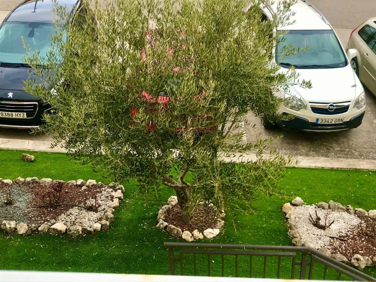 El Apartamento De Andrea Tordesillas Dış mekan fotoğraf
